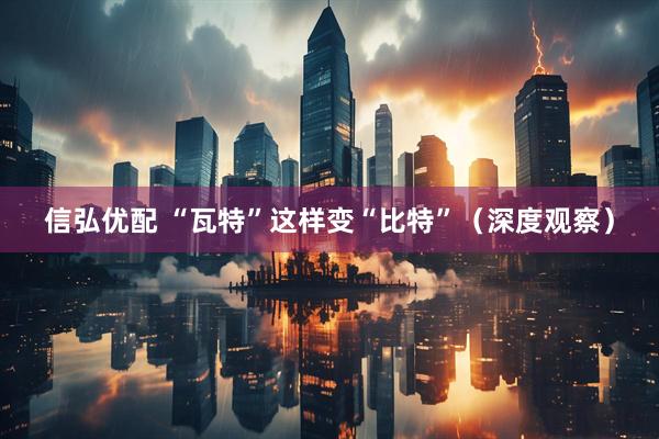 信弘优配 “瓦特”这样变“比特”（深度观察）