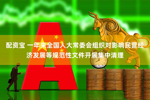 配资宝 一年来全国人大常委会组织对影响民营经济发展等规范性文件开展集中清理