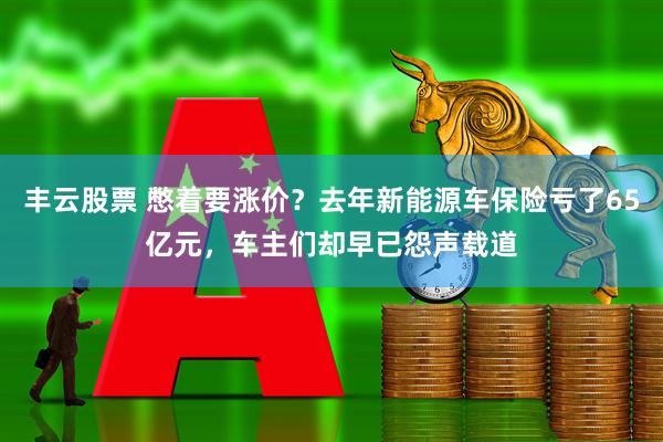 丰云股票 憋着要涨价？去年新能源车保险亏了65亿元，车主们却早已怨声载道