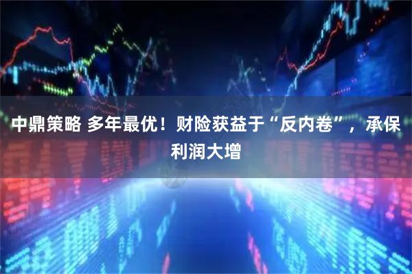 中鼎策略 多年最优！财险获益于“反内卷”，承保利润大增