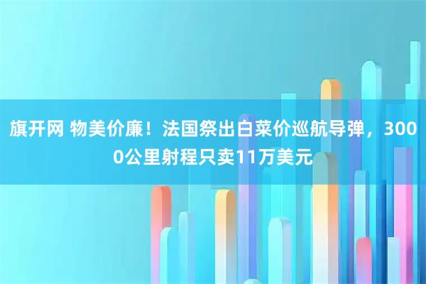 旗开网 物美价廉！法国祭出白菜价巡航导弹，3000公里射程只卖11万美元