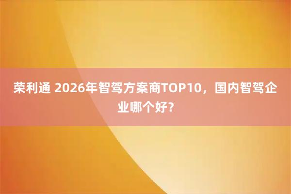 荣利通 2026年智驾方案商TOP10，国内智驾企业哪个好？