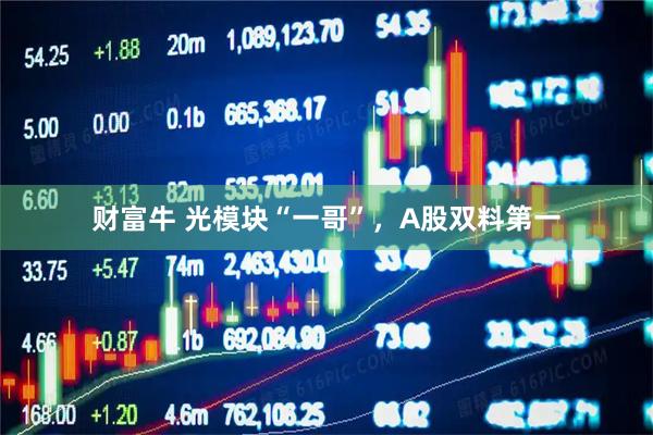 财富牛 光模块“一哥”，A股双料第一