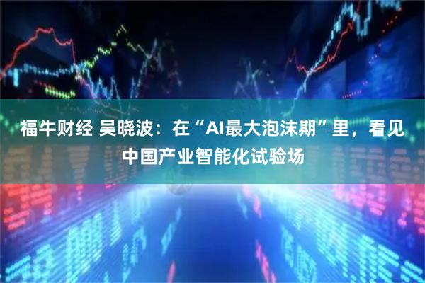 福牛财经 吴晓波：在“AI最大泡沫期”里，看见中国产业智能化试验场
