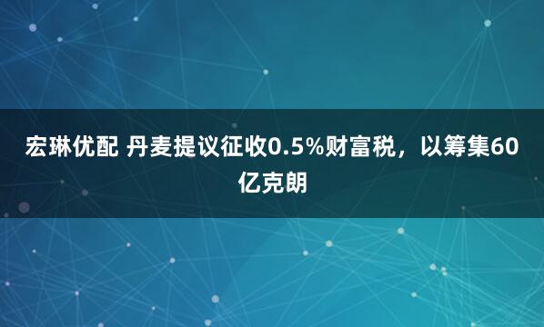宏琳优配 丹麦提议征收0.5%财富税，以筹集60亿克朗