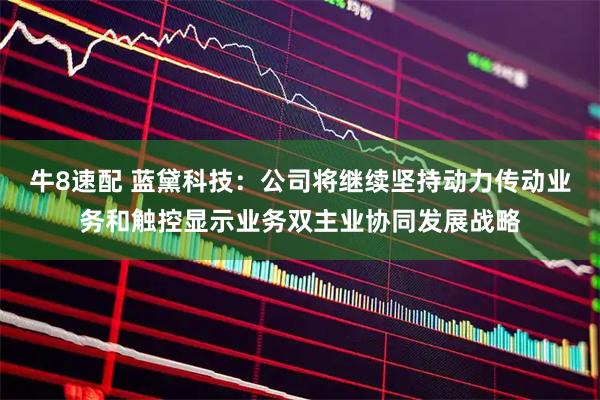 牛8速配 蓝黛科技：公司将继续坚持动力传动业务和触控显示业务双主业协同发展战略