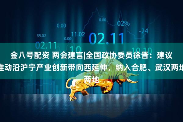 金八号配资 两会建言|全国政协委员徐晋：建议推动沿沪宁产业创新带向西延伸，纳入合肥、武汉两地