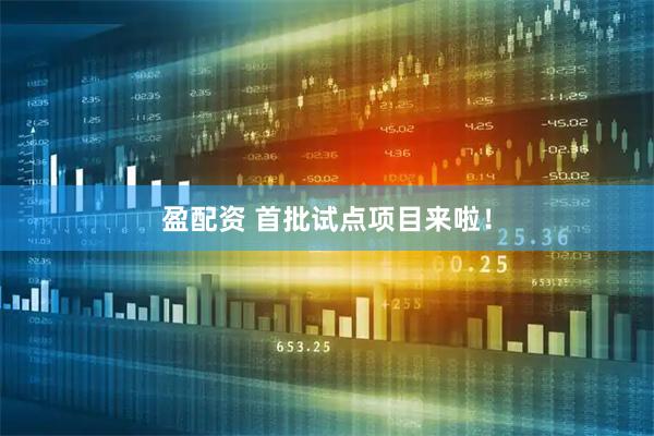盈配资 首批试点项目来啦！