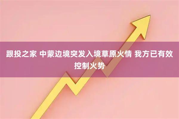 跟投之家 中蒙边境突发入境草原火情 我方已有效控制火势