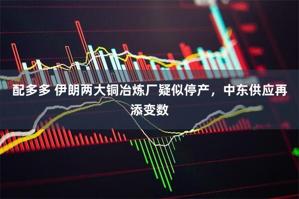 配多多 伊朗两大铜冶炼厂疑似停产，中东供应再添变数