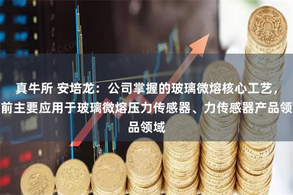 真牛所 安培龙：公司掌握的玻璃微熔核心工艺，目前主要应用于玻璃微熔压力传感器、力传感器产品领域