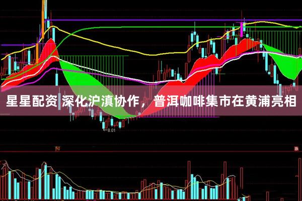 星星配资 深化沪滇协作，普洱咖啡集市在黄浦亮相