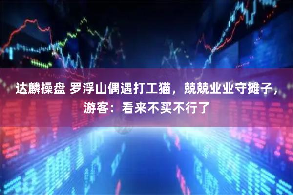 达麟操盘 罗浮山偶遇打工猫，兢兢业业守摊子，游客：看来不买不行了