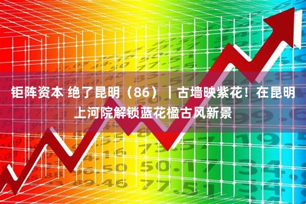 钜阵资本 绝了昆明（86）｜古墙映紫花！在昆明上河院解锁蓝花楹古风新景