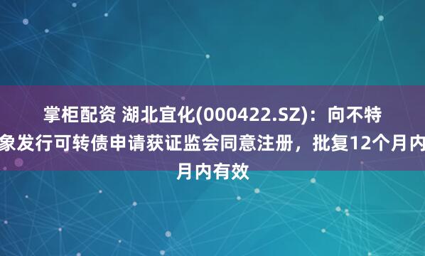 掌柜配资 湖北宜化(000422.SZ):向不特定对象发行可转债申请获证监会同意注册,批复12个月内有效