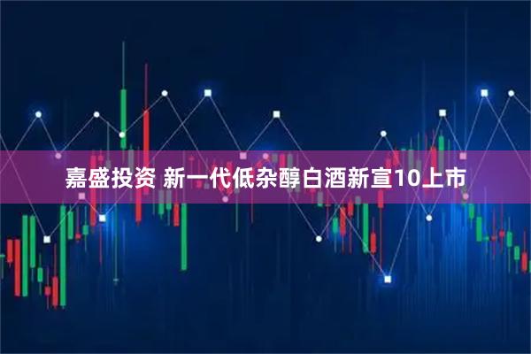 嘉盛投资 新一代低杂醇白酒新宣10上市