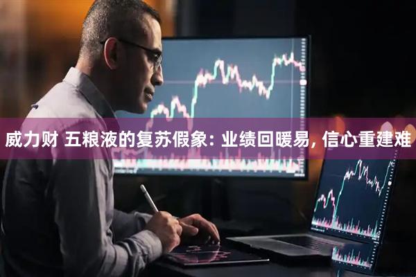 威力财 五粮液的复苏假象: 业绩回暖易, 信心重建难